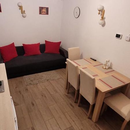 Apartament Miruna Sibiu Filarmonicii エクステリア 写真