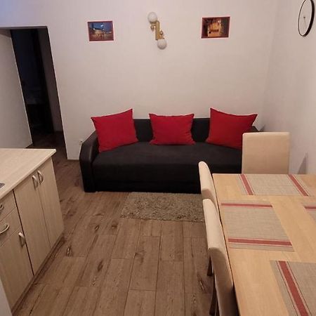 Apartament Miruna Sibiu Filarmonicii エクステリア 写真