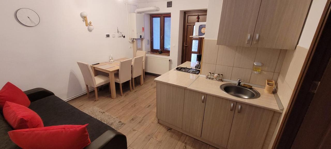 Apartament Miruna Sibiu Filarmonicii エクステリア 写真